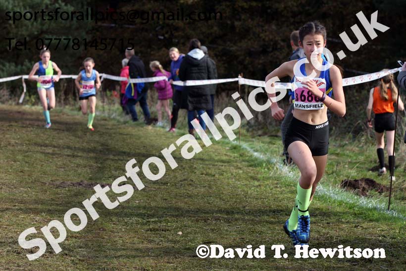 Girls under-13s National Cross Country Relay, Berry Hill Park, Mansfield. Photo:  David T. Hewitson/Sports for All Pics